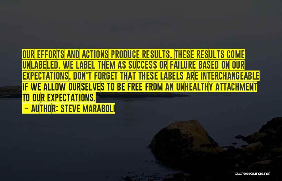 Efforts And Results Quotes By Steve Maraboli