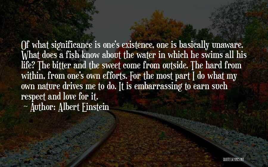 Efforts In Love Quotes By Albert Einstein