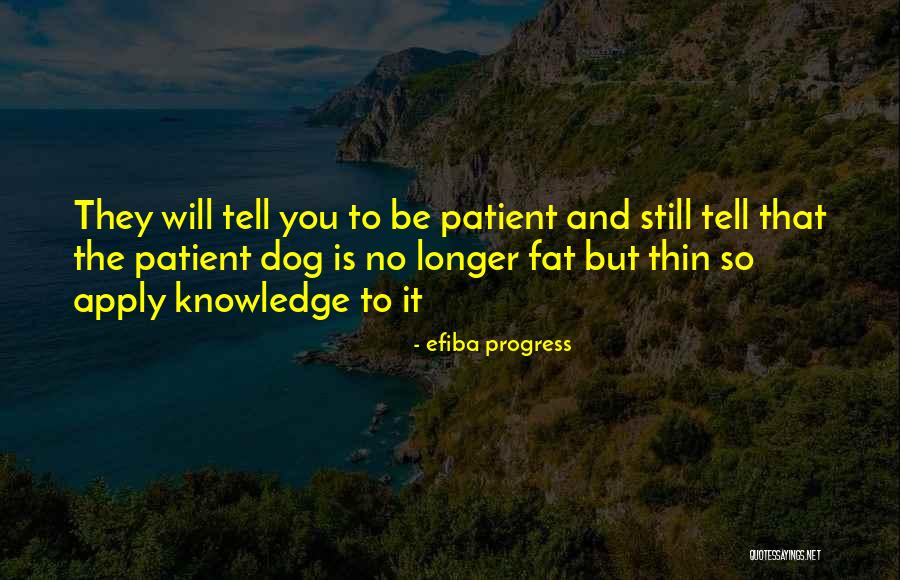 Efiba Progress Quotes 1693003 Efiba Progress Quotes 1693003