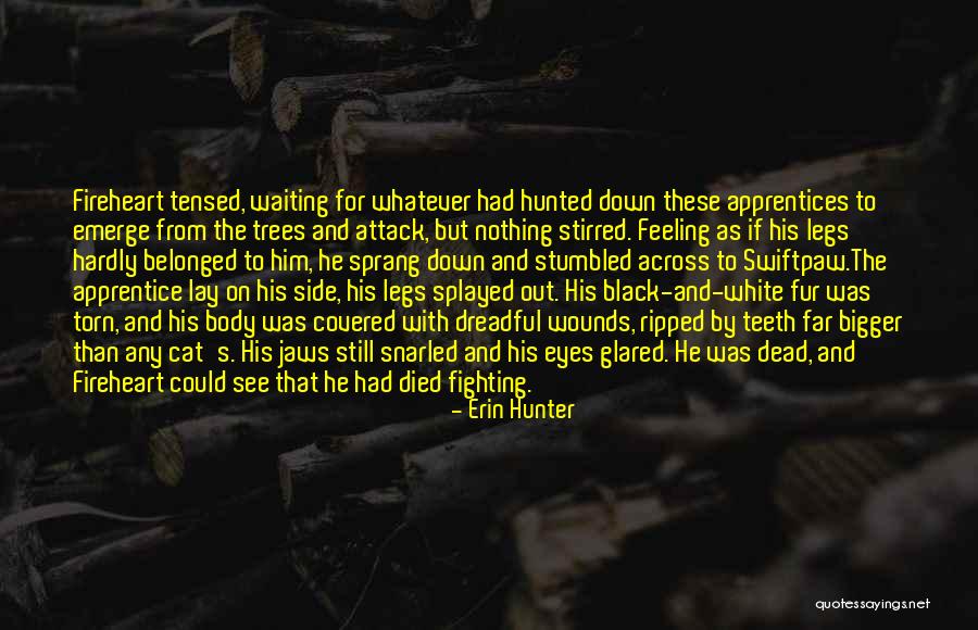 Eficazmente En Quotes By Erin Hunter Eficazmente En Quotes By Erin Hunter