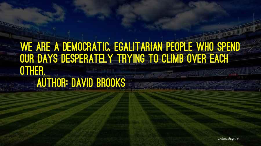 Egalitarian Quotes By David Brooks