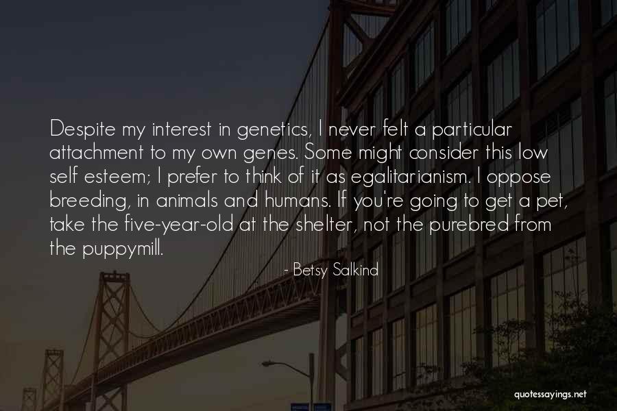 Egalitarianism Quotes By Betsy Salkind Egalitarianism Quotes By Betsy Salkind