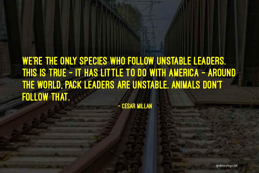 Egarac Du Ica Quotes By Cesar Millan Egarac Du Ica Quotes By Cesar Millan