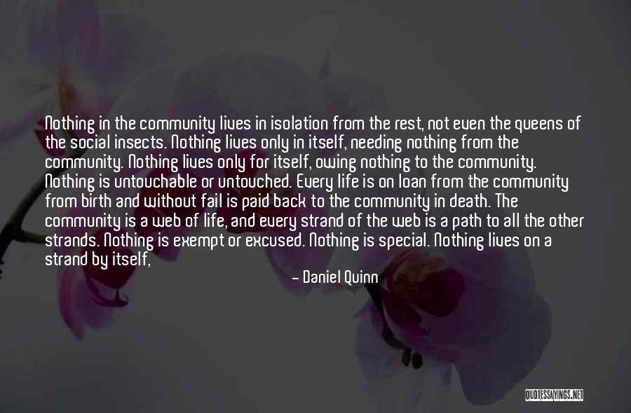 Egg And Life Quotes By Daniel Quinn Egg And Life Quotes By Daniel Quinn
