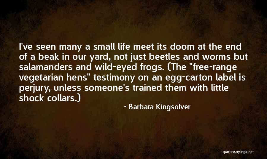 Egg Carton Quotes By Barbara Kingsolver Egg Carton Quotes By Barbara Kingsolver