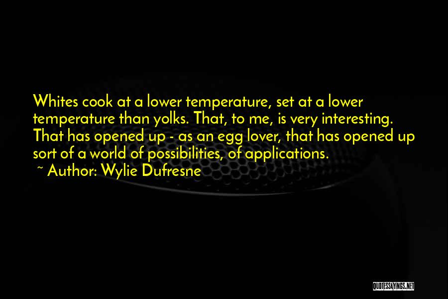 Egg Lover Quotes By Wylie Dufresne
