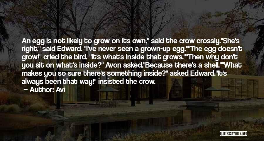 Egg Shell Quotes By Avi