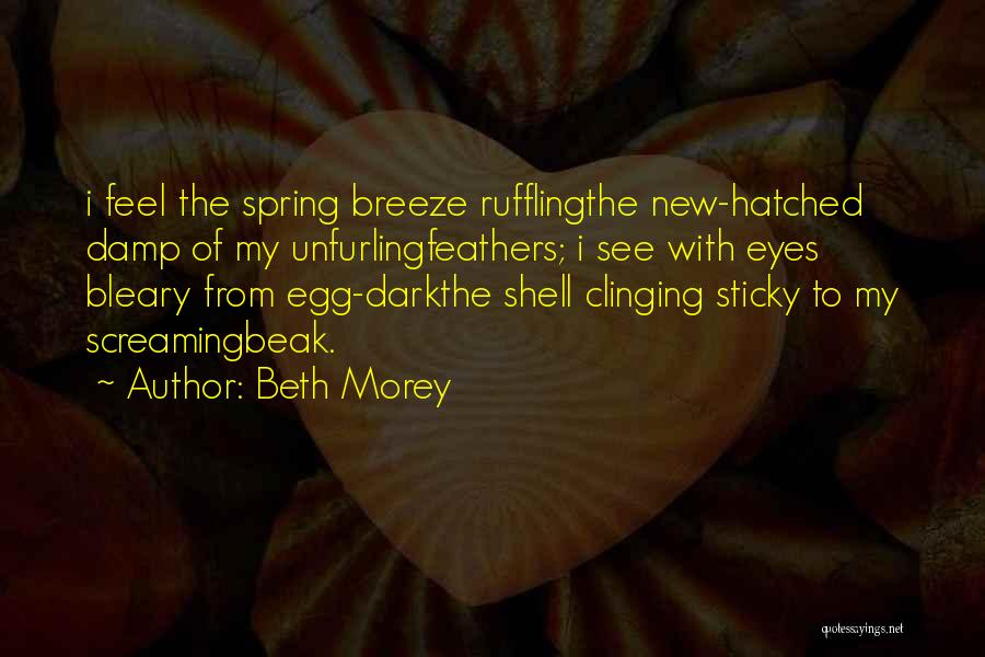 Egg Shell Quotes By Beth Morey