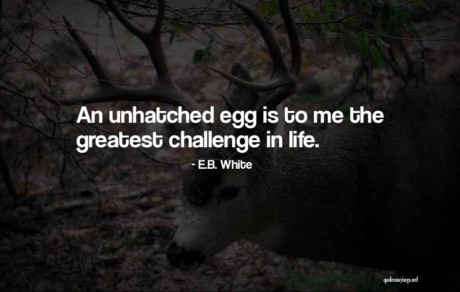 Egg White Quotes By E.B. White