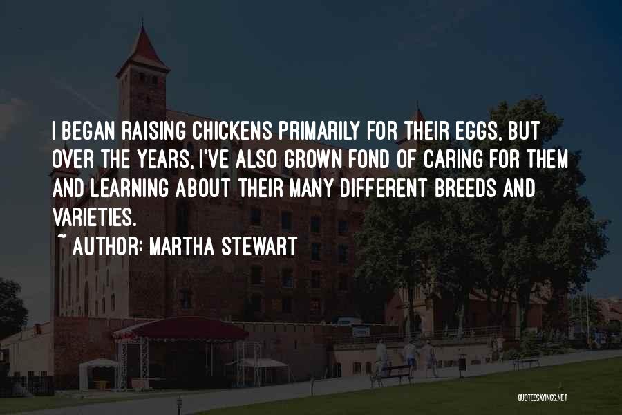 Eggs And Chickens Quotes By Martha Stewart