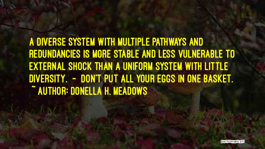 Eggs In One Basket Quotes By Donella H. Meadows