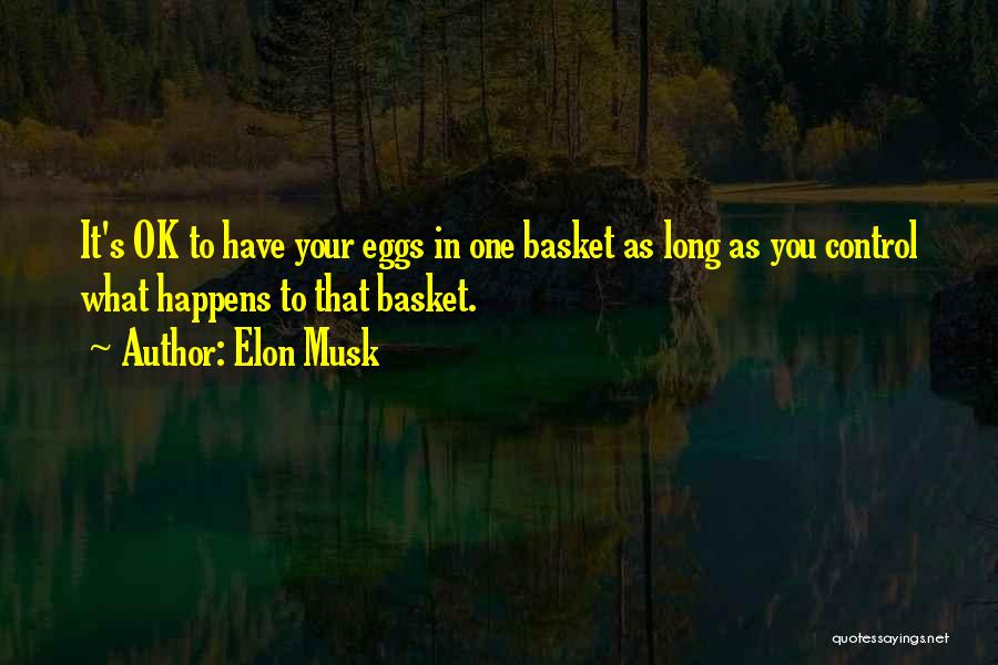 Eggs In One Basket Quotes By Elon Musk