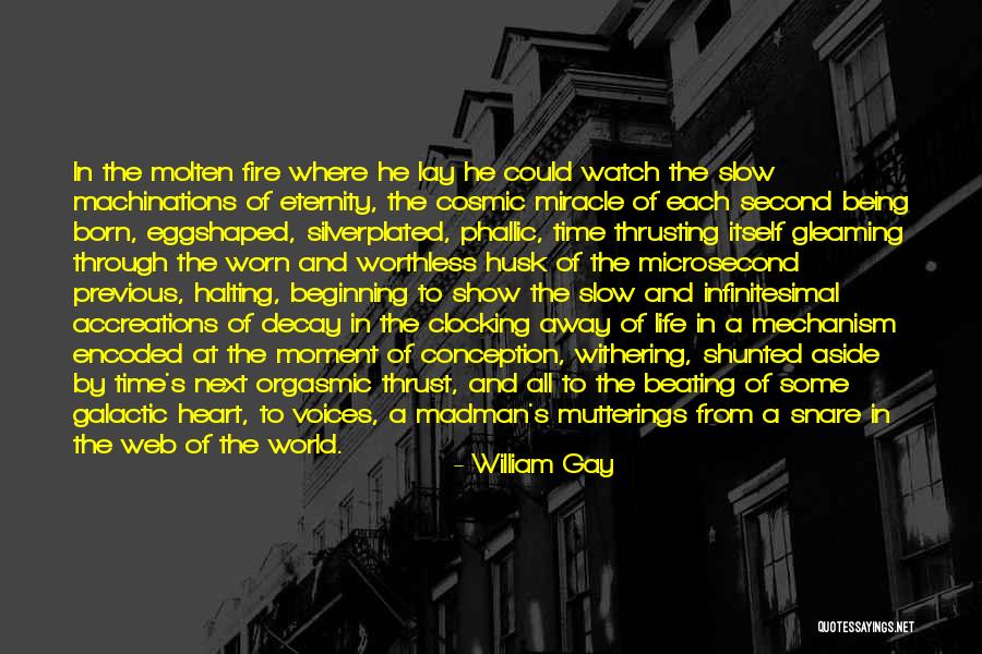 Eggshaped Quotes By William Gay Eggshaped Quotes By William Gay