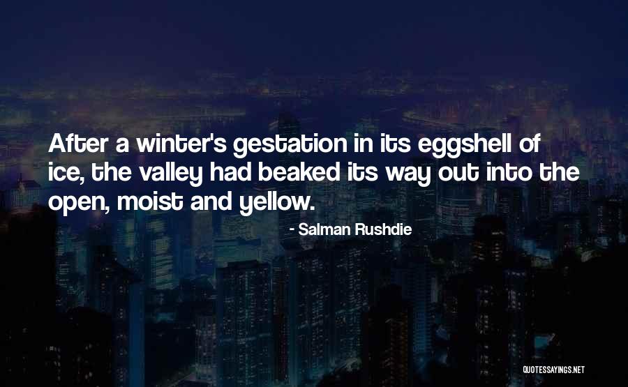Eggshell Quotes By Salman Rushdie Eggshell Quotes By Salman Rushdie