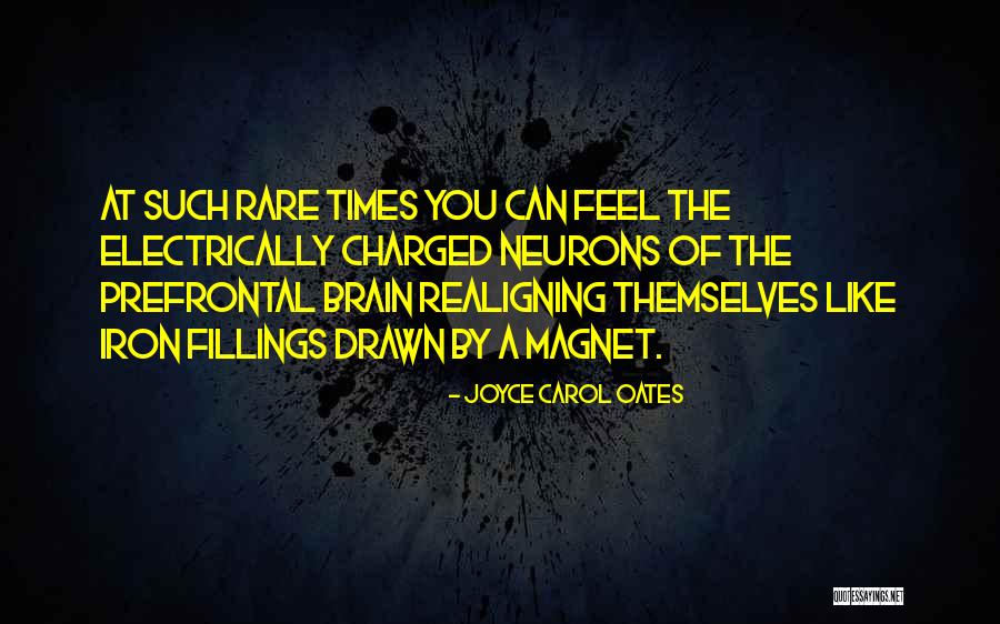 Egholmskolen Quotes By Joyce Carol Oates