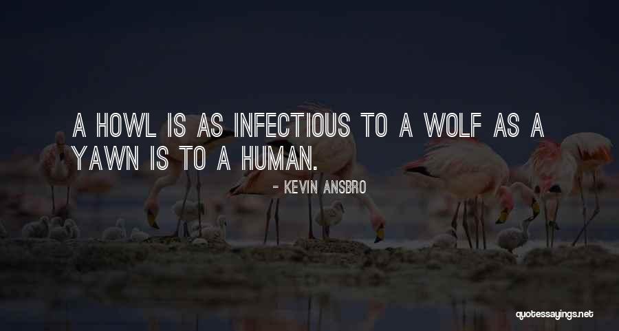 Egnatian Quotes By Kevin Ansbro Egnatian Quotes By Kevin Ansbro