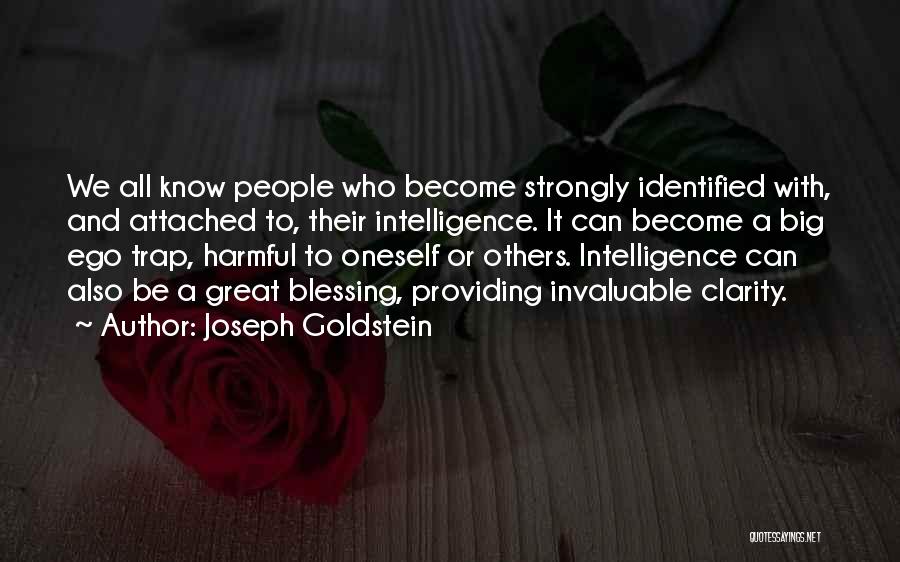 Ego Is Harmful Quotes By Joseph Goldstein