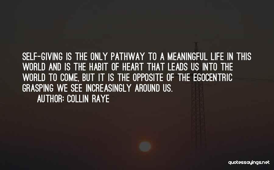 Egocentric Quotes By Collin Raye