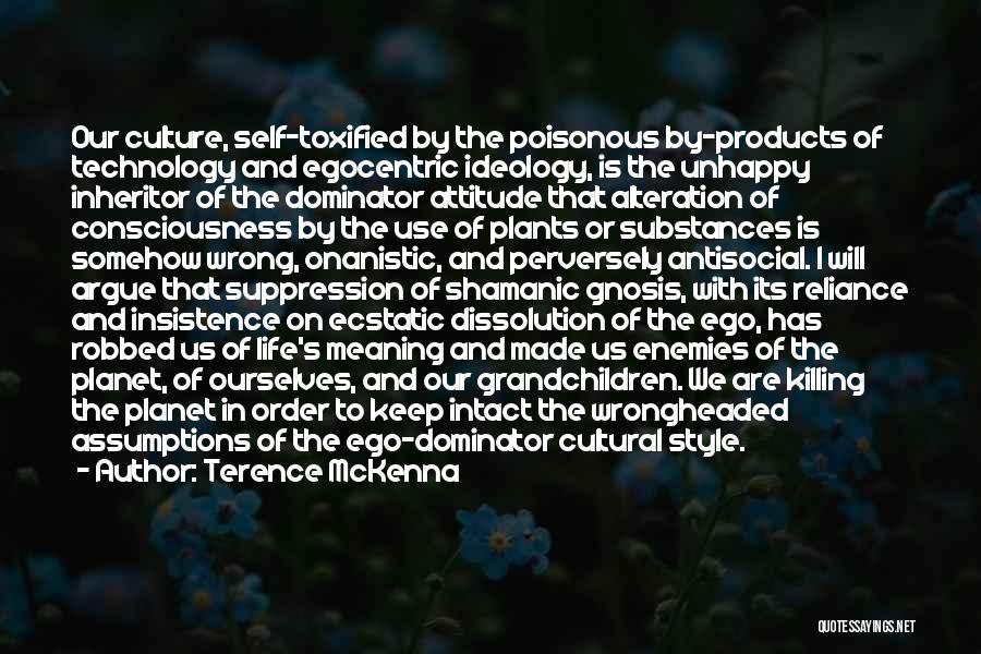 Egocentric Quotes By Terence McKenna