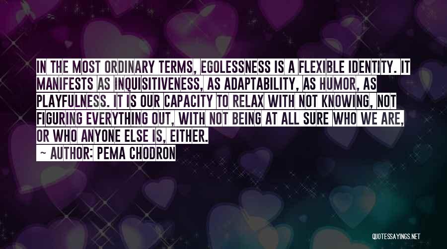 Egolessness Quotes By Pema Chodron