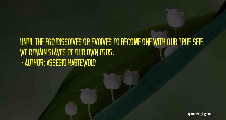 Egos Quotes By Assegid Habtewold