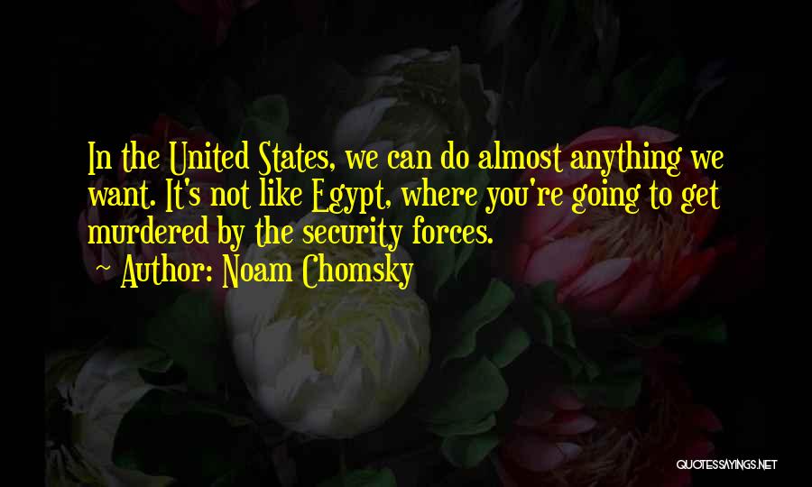 Egypt Quotes By Noam Chomsky