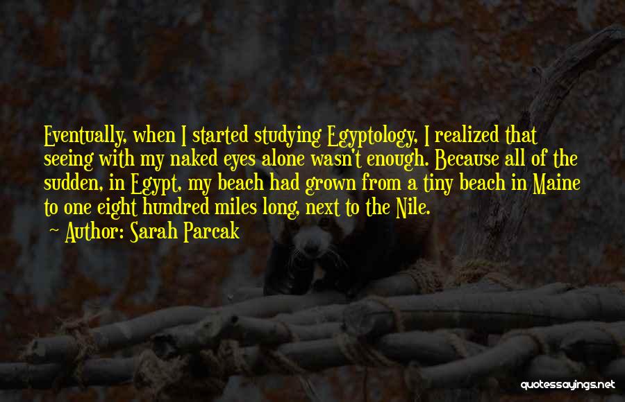 Egypt Quotes By Sarah Parcak