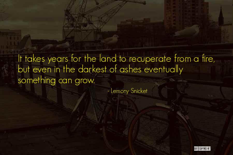 Egyptian Eyeliner Quotes By Lemony Snicket Egyptian Eyeliner Quotes By Lemony Snicket