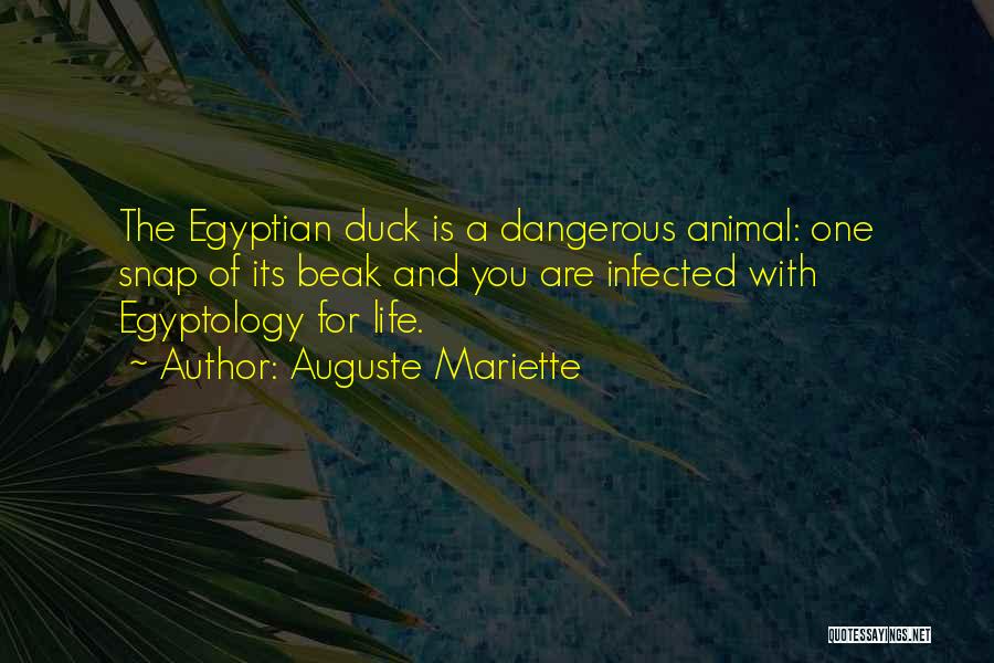 Egyptian Quotes By Auguste Mariette