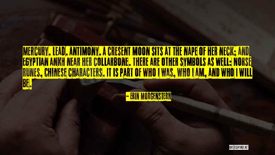 Egyptian Welcome Quotes By Erin Morgenstern Egyptian Welcome Quotes By Erin Morgenstern
