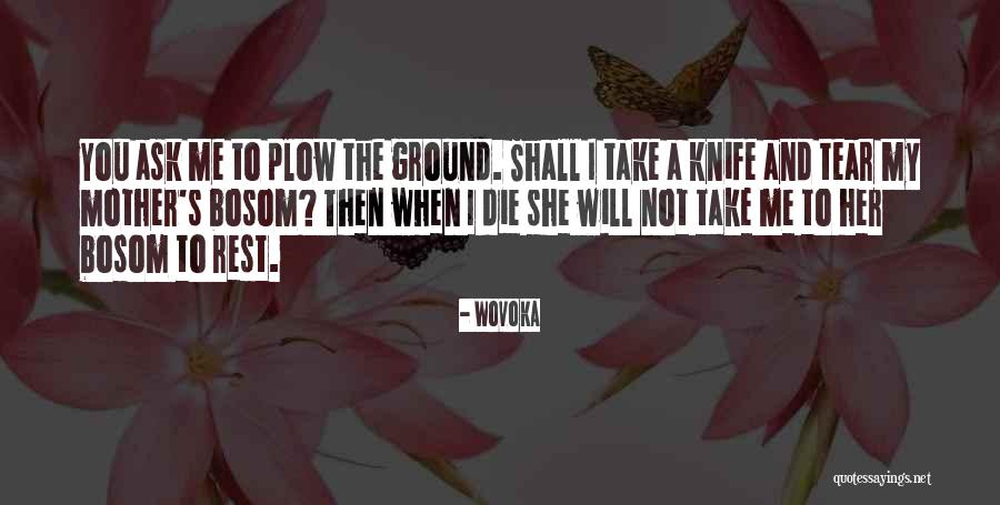 Egyptiennes Quotes By Wovoka Egyptiennes Quotes By Wovoka