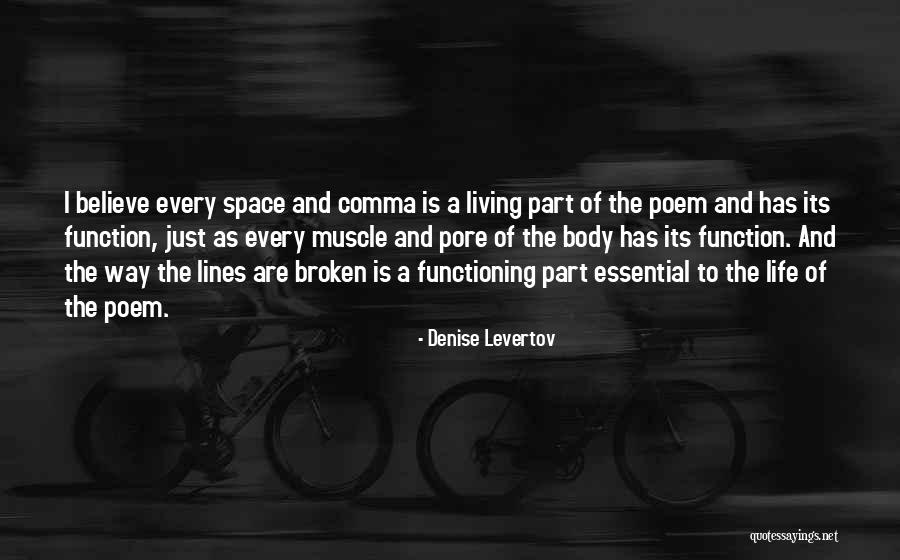 Eheim Canister Filter Quotes By Denise Levertov Eheim Canister Filter Quotes By Denise Levertov
