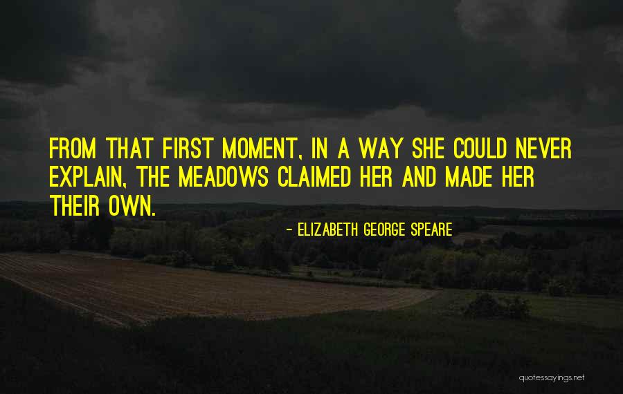 Ehkaam Quotes By Elizabeth George Speare Ehkaam Quotes By Elizabeth George Speare