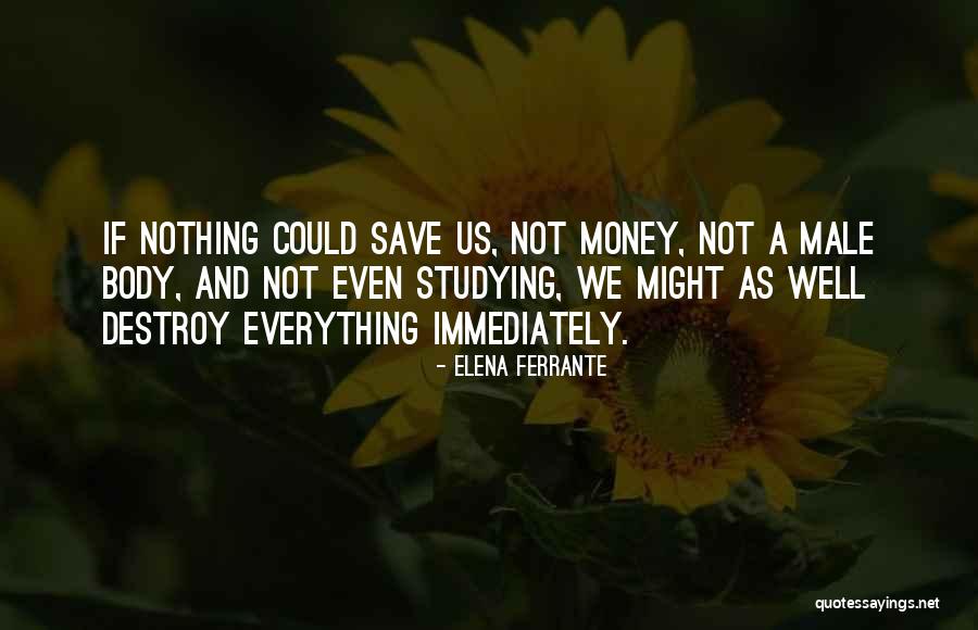 Ehlert Vintage Quotes By Elena Ferrante Ehlert Vintage Quotes By Elena Ferrante