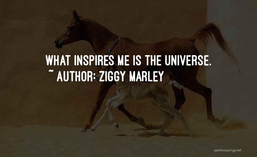 Eibhear Walshe Quotes By Ziggy Marley