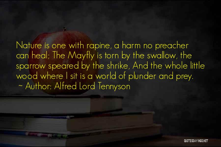 Eid Al Ghadeer Quotes By Alfred Lord Tennyson