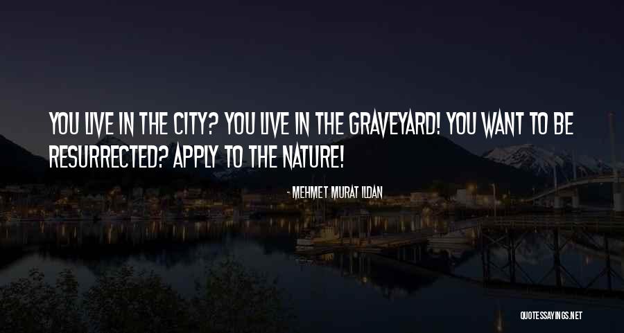Eiermann Gestell Quotes By Mehmet Murat Ildan Eiermann Gestell Quotes By Mehmet Murat Ildan