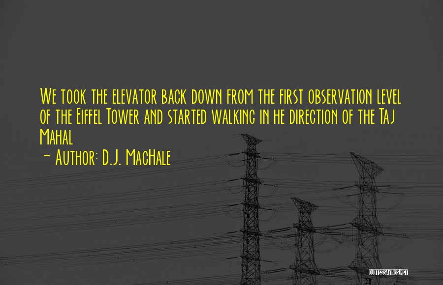 Eiffel Tower Quotes By D.J. MacHale