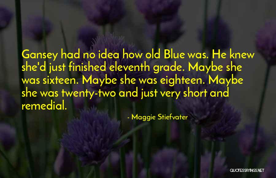 Eighteen Funny Quotes By Maggie Stiefvater