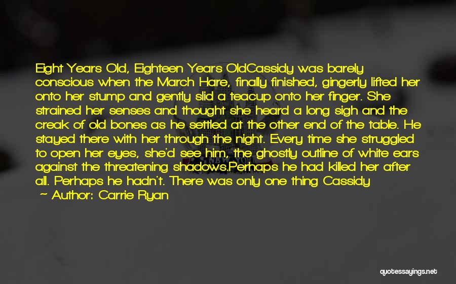 Eighteen Years Quotes By Carrie Ryan