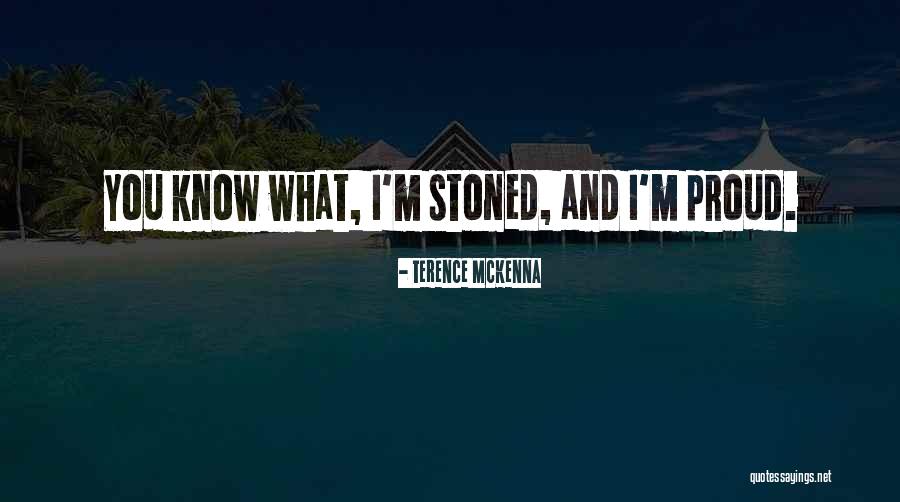 Eighter Holding Quotes By Terence McKenna Eighter Holding Quotes By Terence McKenna