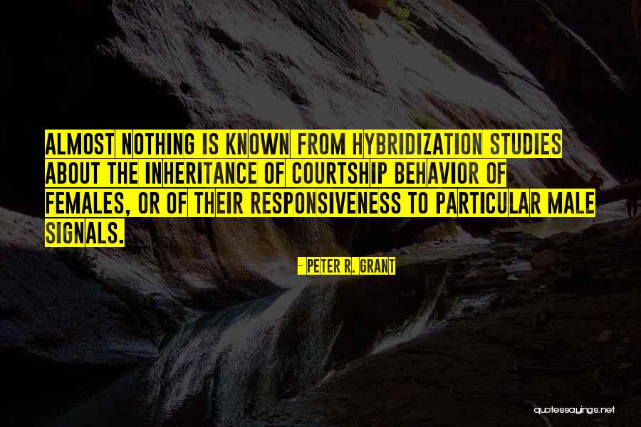 Eijirou Kirishima Quotes By Peter R. Grant Eijirou Kirishima Quotes By Peter R. Grant