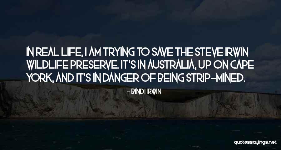 Eikelenboom Forensics Quotes By Bindi Irwin Eikelenboom Forensics Quotes By Bindi Irwin