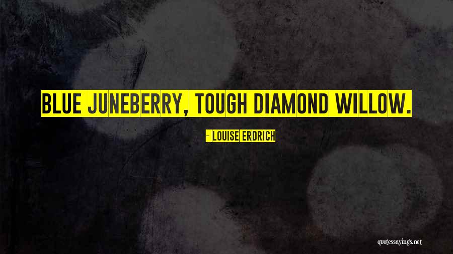 Eikenella Quotes By Louise Erdrich Eikenella Quotes By Louise Erdrich