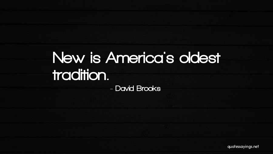 Eikonic Lens Quotes By David Brooks Eikonic Lens Quotes By David Brooks