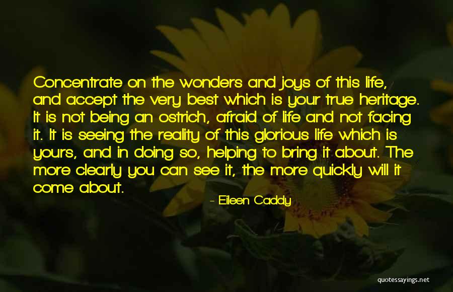 Eileen Caddy Quotes 1979212 Eileen Caddy Quotes 1979212