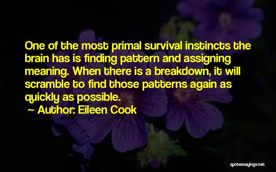 Eileen Cook Quotes 1889466