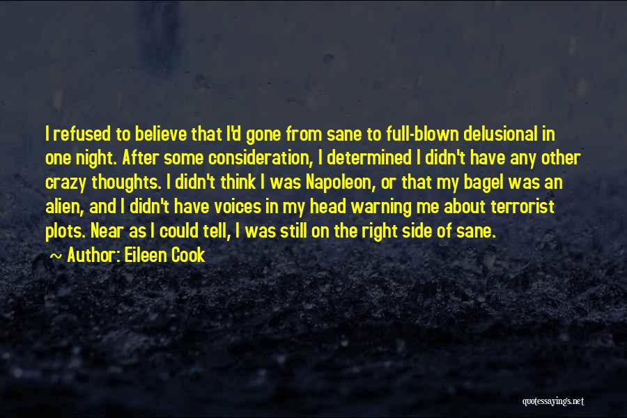 Eileen Cook Quotes 1974962