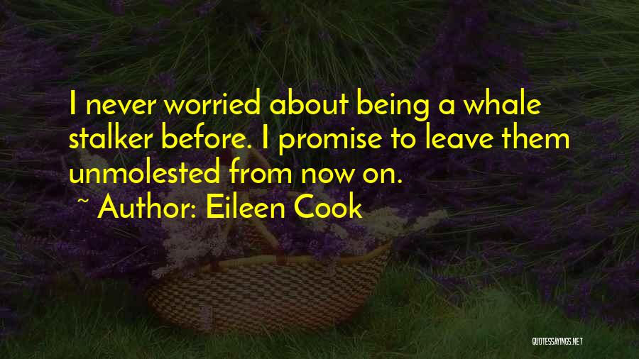 Eileen Cook Quotes 363534