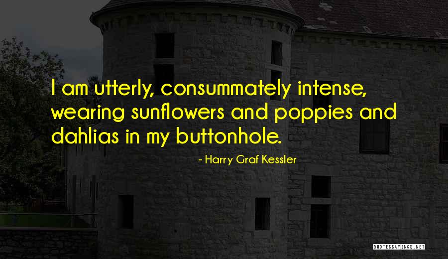 Eilireland Quotes By Harry Graf Kessler Eilireland Quotes By Harry Graf Kessler